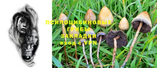 бошки Алексеевка