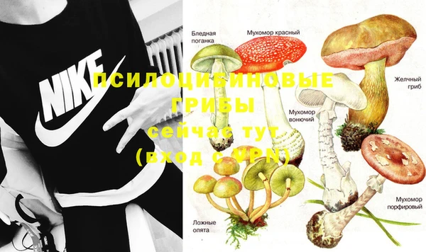 бошки Алексеевка
