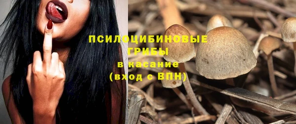mdpv Алзамай