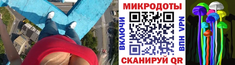 где продают наркотики  Кемь  Галлюциногенные грибы прущие грибы 